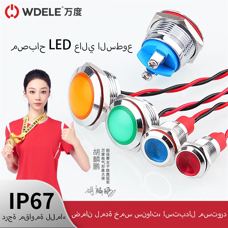 مصابيح مؤشر الإشارة المعدنية من سلسلة WD-L